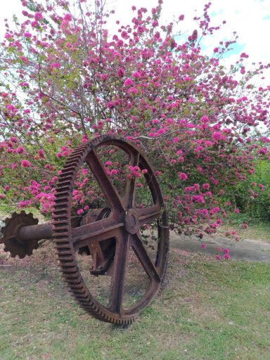 In the Deep South 